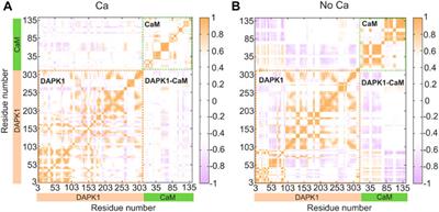 Frontiers Mechanistic Insights Into The Role Of Calcium In The